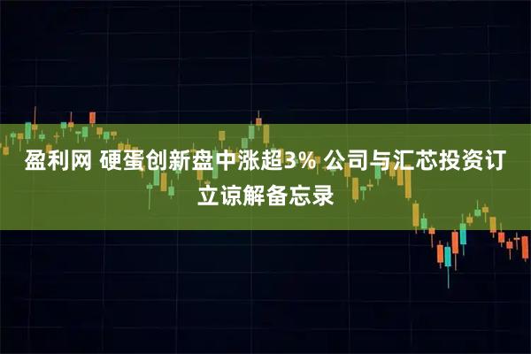 盈利网 硬蛋创新盘中涨超3% 公司与汇芯投资订立谅解备忘录