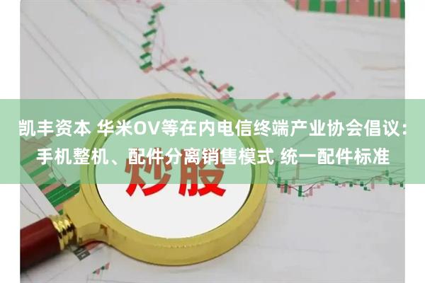 凯丰资本 华米OV等在内电信终端产业协会倡议:手机整机、配件分离销售模式 统一配件标准
